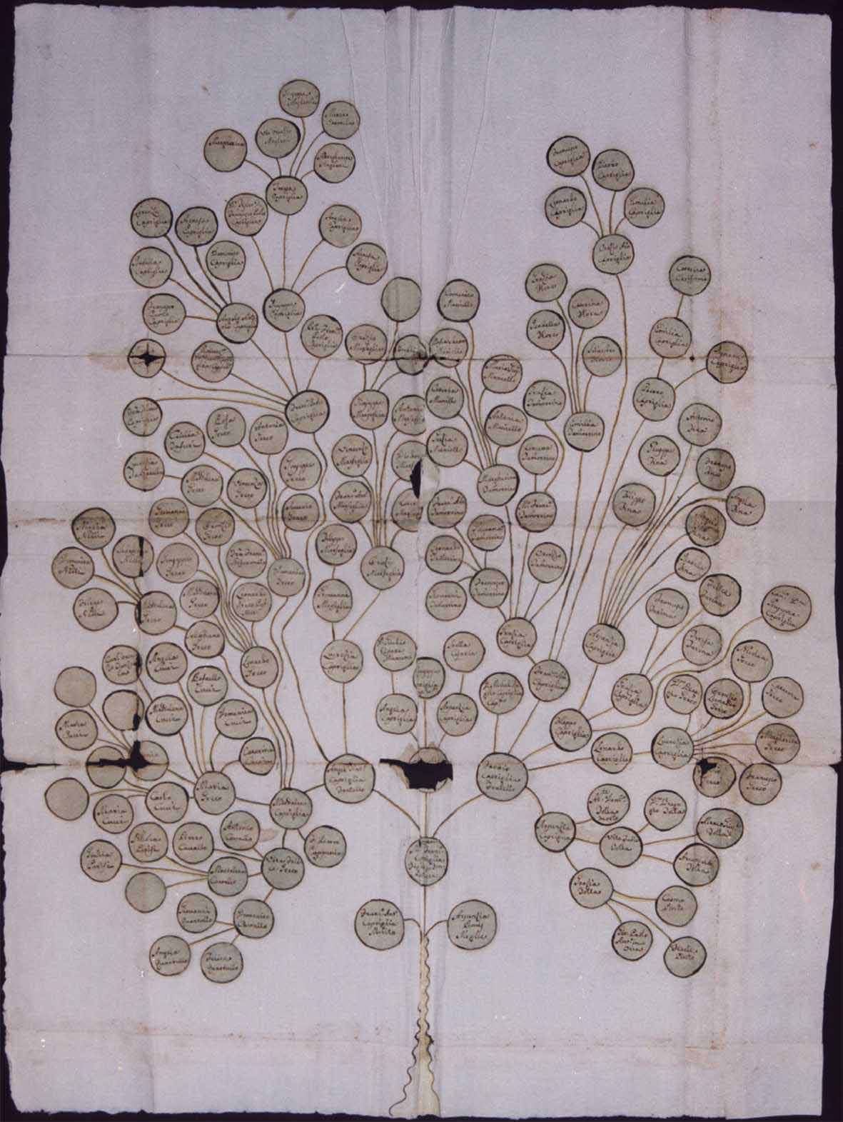 Albero genealogico del subdiacono Francesco Capriglia, fondo notarile di Ostuni, notaio Dell'Anna Vincenzo, anno 1770